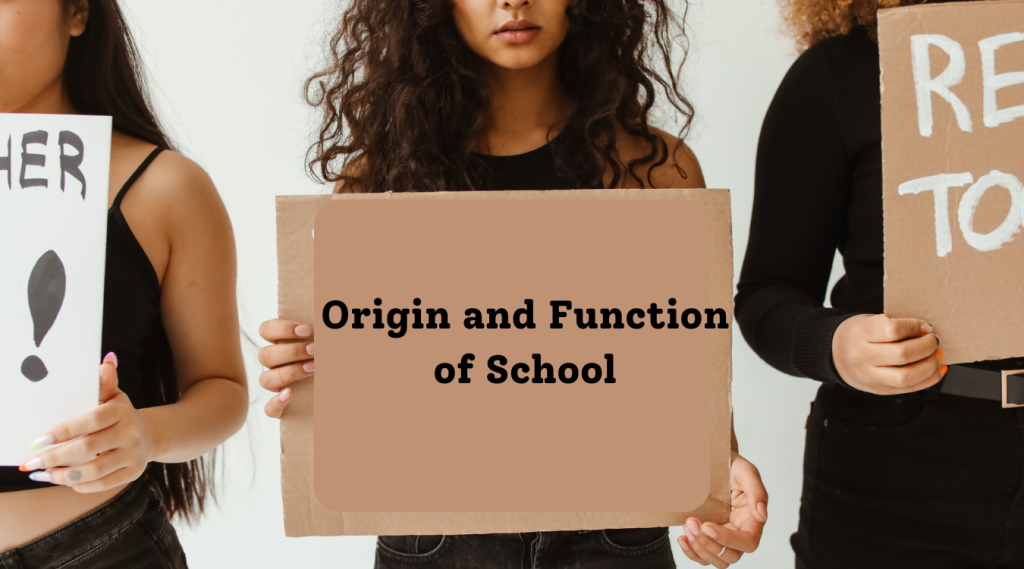 Origin and Function of School